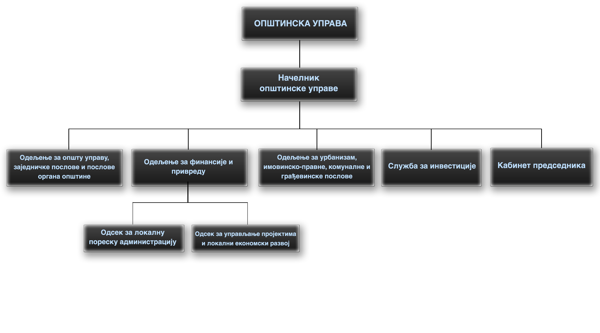 Organizaciona sema Opstinske uprave Vladicin Han